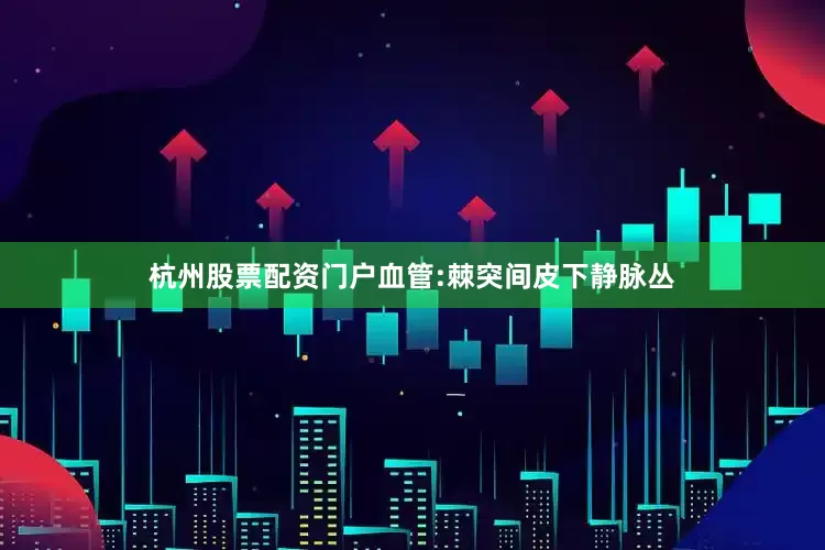 杭州股票配资门户血管:棘突间皮下静脉丛