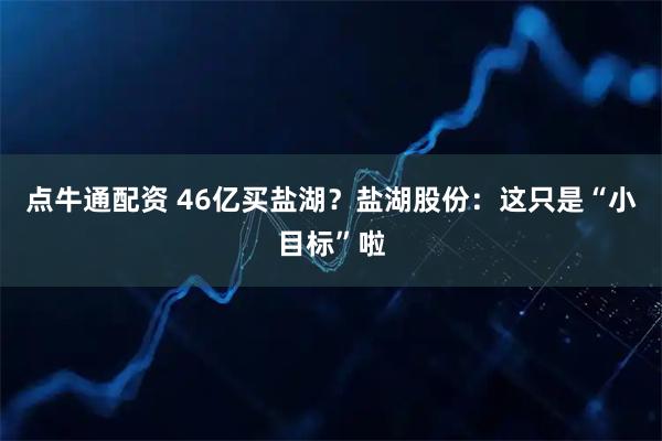 点牛通配资 46亿买盐湖？盐湖股份：这只是“小目标”啦